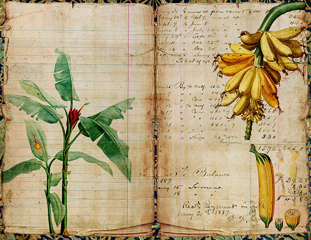 garden-journal
